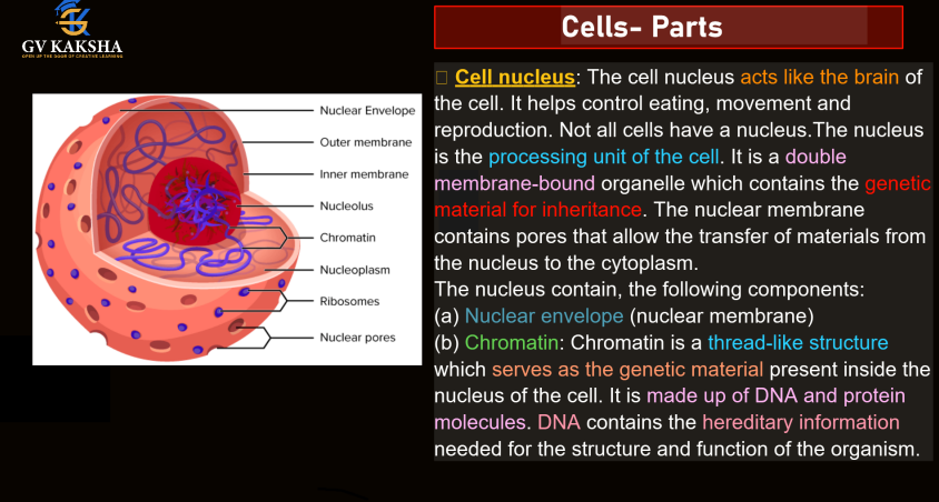 (GK) 1-Complete Biology Notes by gv sir pdf