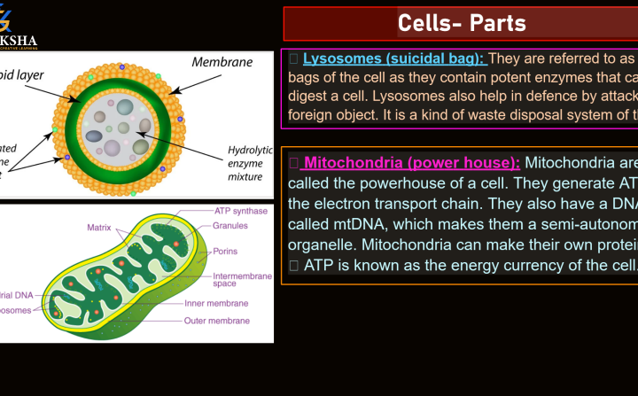(GK) 1-Complete Biology Notes by gv sir pdf