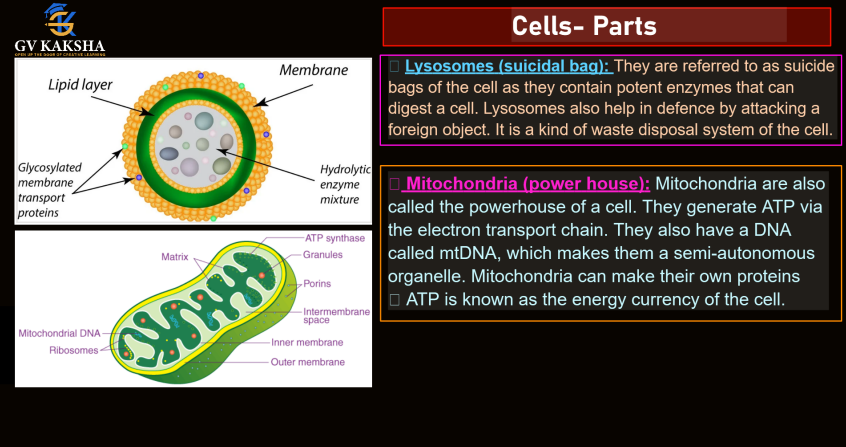 (GK) 1-Complete Biology Notes by gv sir pdf