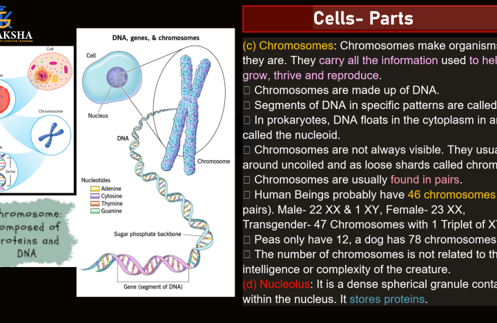 (GK) 1-Complete Biology Notes by gv sir pdf
