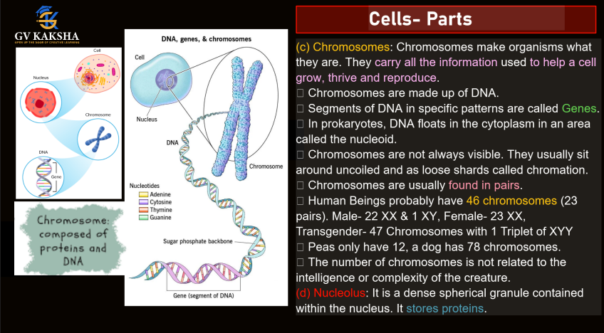 (GK) 1-Complete Biology Notes by gv sir pdf