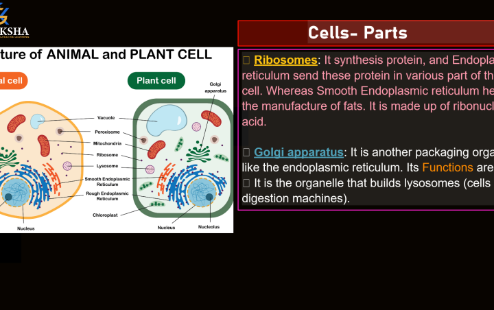 (GK) 1-Complete Biology Notes by gv sir pdf