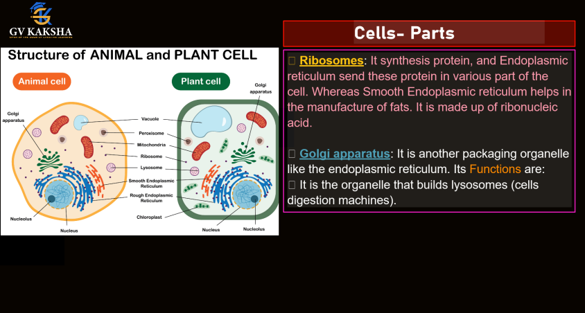 (GK) 1-Complete Biology Notes by gv sir pdf