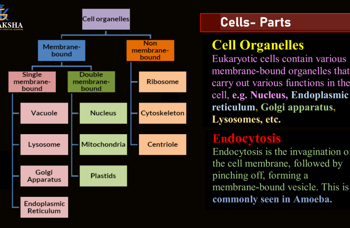 (GK) 1-Complete Biology Notes by gv sir pdf