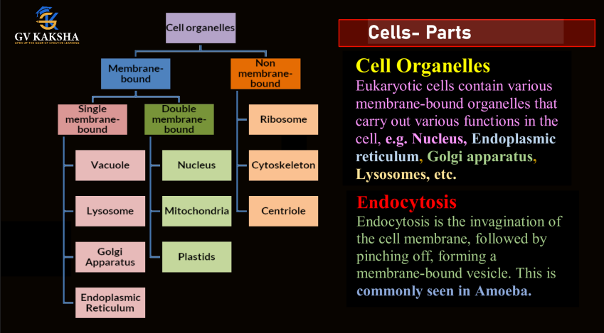 (GK) 1-Complete Biology Notes by gv sir pdf