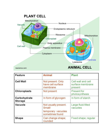 (GK) 2-Bio one liner question_pdf