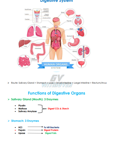 (GK) 3-Biology printable quesstion pdf