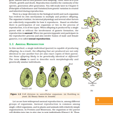 NCERT CLASS 12 BIOLOGY pdf