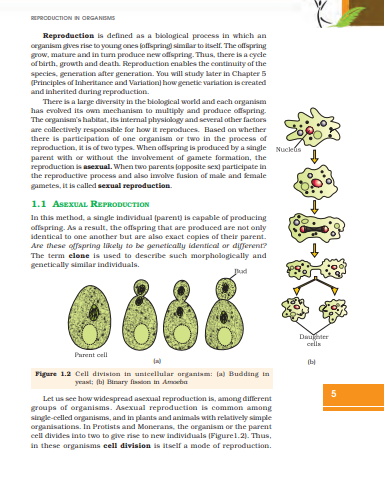 NCERT CLASS 12 BIOLOGY pdf