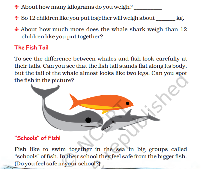 NCERT Class-1to5 Mathematics 2025-26 pdf