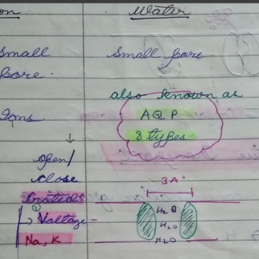 NEET-Biology-English-Exams-2025-26-pdf