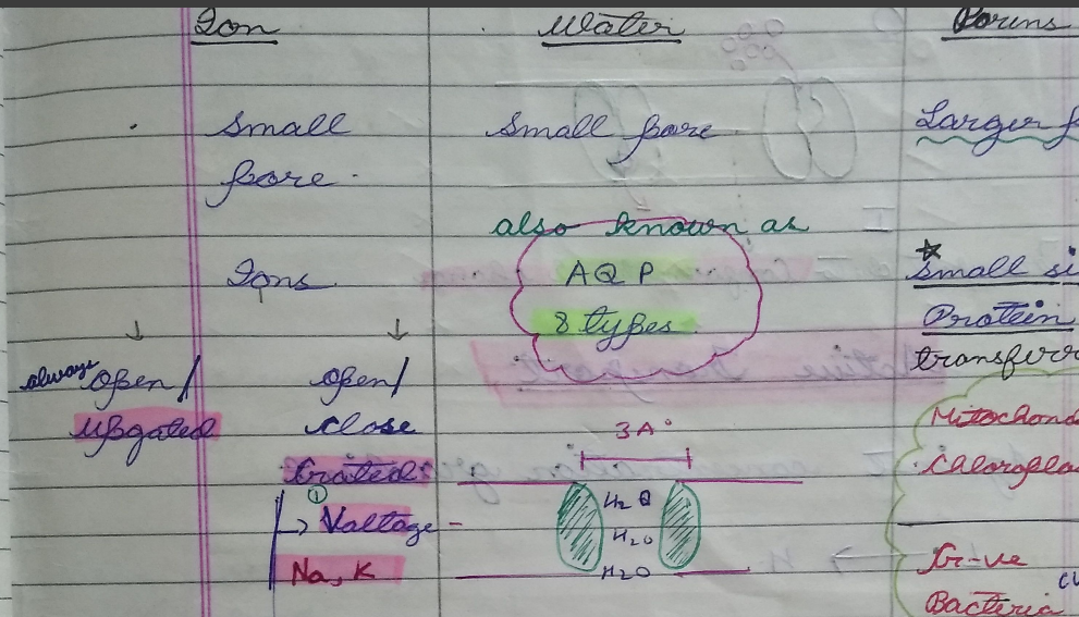 NEET -Biology English Exams 2025-26 pdf