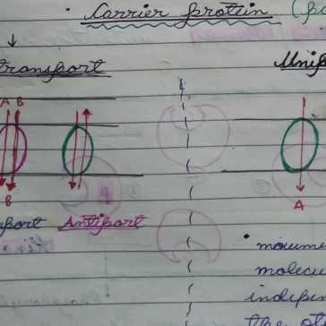 NEET -Biology English Exams 2025-26 pdf