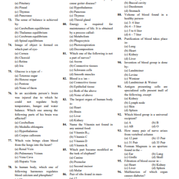 SSC Exam in English.PDF