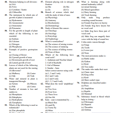 SSC Exam in English.PDF