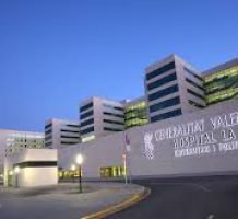 La Fe University and Polytechnic Hospital La Fe University and Polytechnic Hospital